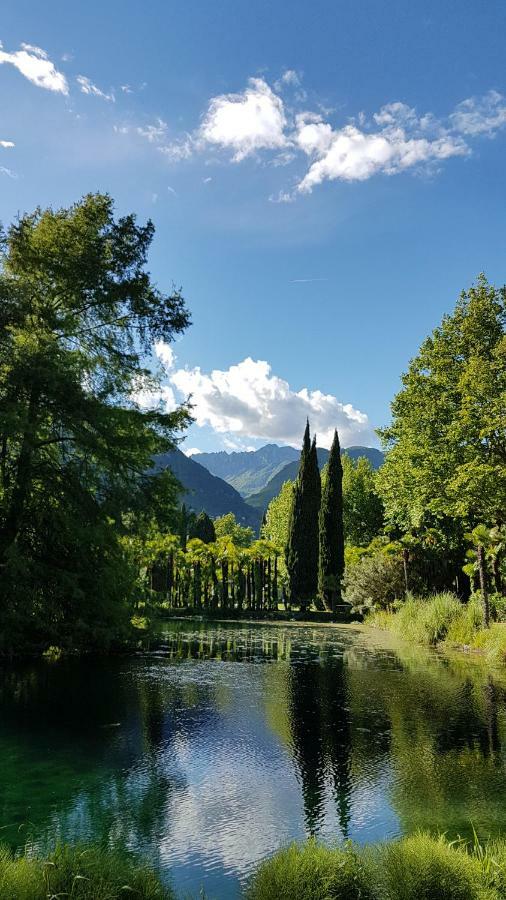 Il Paradiso Apartments Great View Gardasee Torri Del Benaco Exterior foto